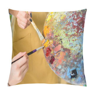 Personality  Cropped Image Of Teacher And Pupil Taking Same Paint From Palette In Workshop Of Art School Pillow Covers