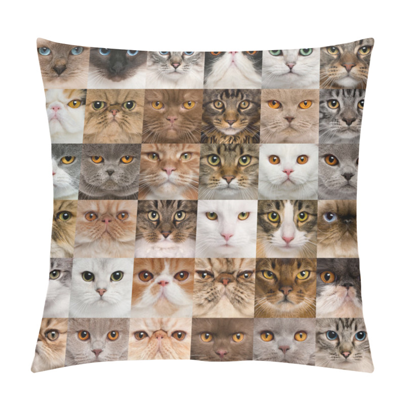 Personality  Collage of 36 cat heads pillow covers