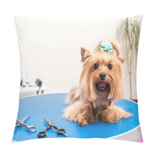 Personality  Yorkshire Terrier Dog In Pet Salon Pillow Covers