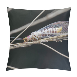 Personality  Closeup Shot Of A Common Lacewing Insect. Pillow Covers