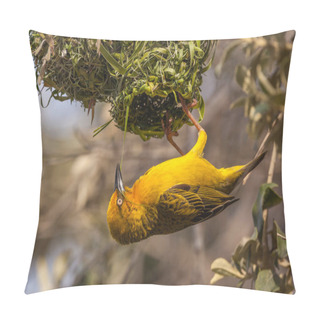 Personality  Yellow Weaver Bird At Nest Building Pillow Covers