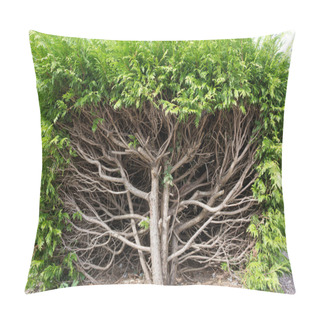Personality  Beautiful Shrub In A Garden Pillow Covers