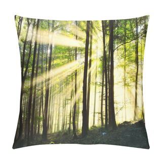 Personality  Magic Sunny Morning Forest Pillow Covers