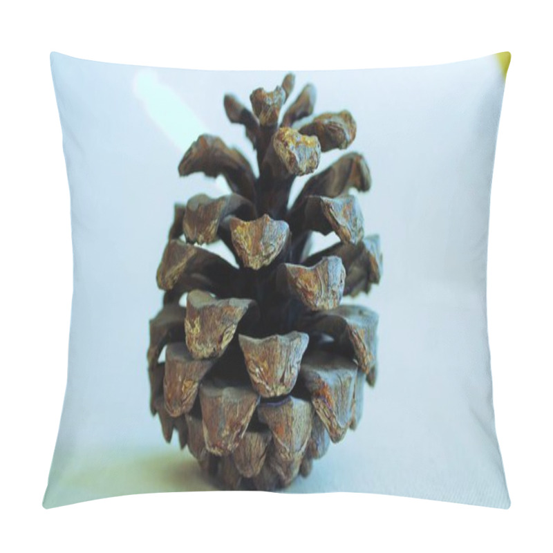 Personality  Centered Beauty: Focused Cone PhotographyThis Captivating Photograph Zooms In On The Mesmerizing Details Of A Single Cone. Through The Lens, The Cone's Intricate Textures And Patterns Are Revealed, Showcasing The Natural Beauty Hidden Within. Pillow Covers