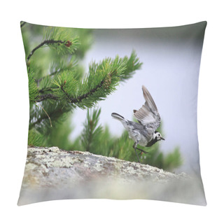 Personality   Grey Little Bird  Pillow Covers