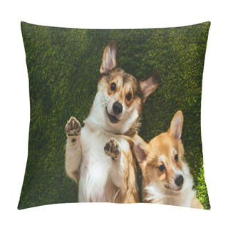 Personality  Adorable Welsh Corgi Dogs Laying On Green Lawn Pillow Covers