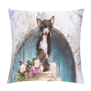 Personality  Chinese Crested Dog, New Year's Puppy, Christmas Dog Pillow Covers