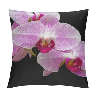 Personality  Pink Orchid Close Up Pillow Covers