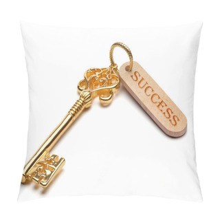 Personality  Golden Key To Success. Pillow Covers