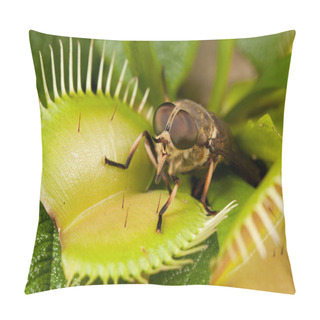 Personality  Horse-fly And Green Flytrap  Pillow Covers