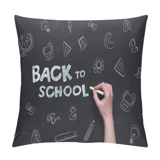 Personality  Back To School Lettering On Blackboard Pillow Covers