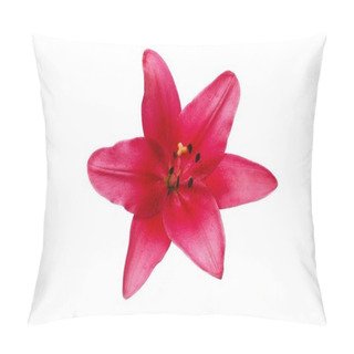 Personality  Maroon Lily Flower Isolated Over A White Background Pillow Covers
