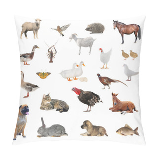 Personality  Livestock Pillow Covers