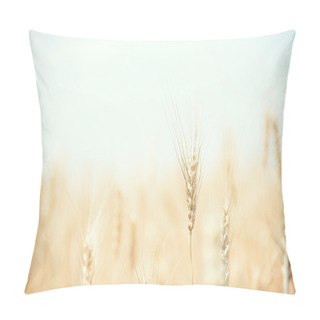 Personality  Wheat Field Pillow Covers