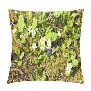 Personality  Primrose Pillow Covers
