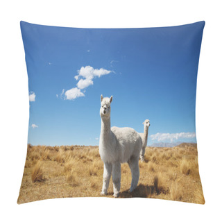 Personality  Pasture With Animals In New Zealand Pillow Covers
