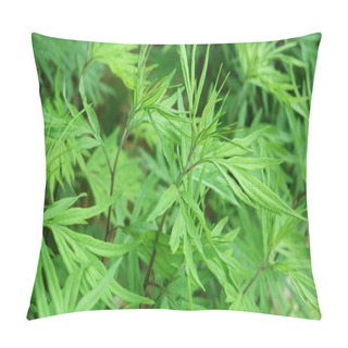 Personality    Pillow Covers