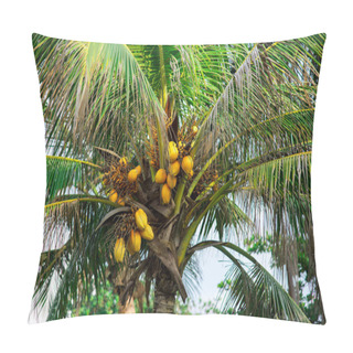 Personality  Coconuts On Palm Tree Pillow Covers