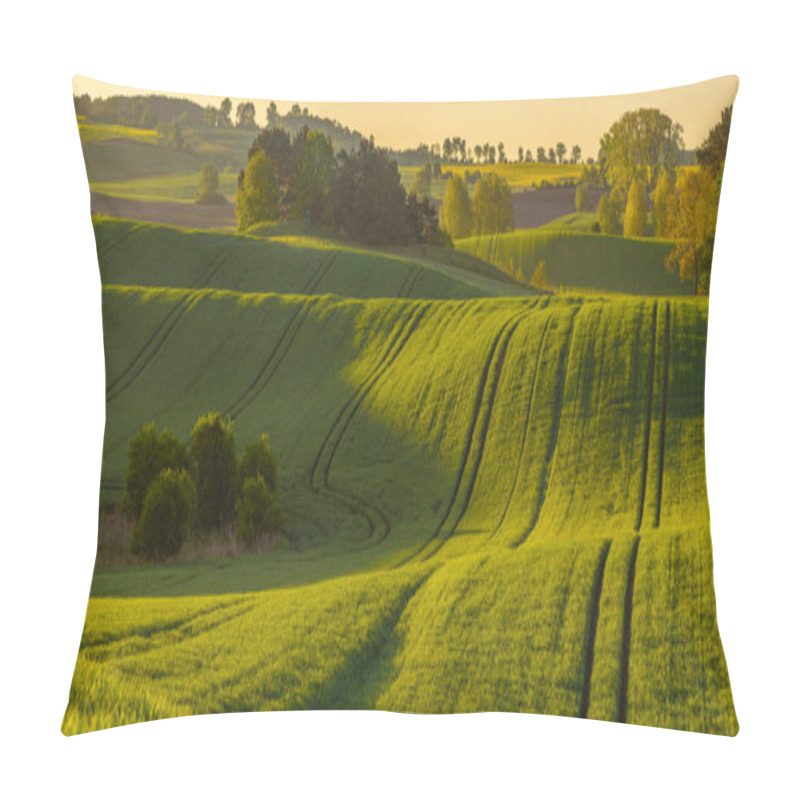 Personality   high resolution panorama of the spring field of young green cereal illuminated by the first rays of the rising sun pillow covers