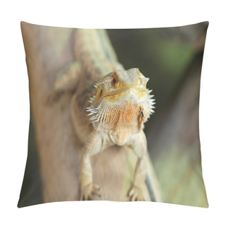 Personality  Bearded Dragon Pogona Vitticeps Pillow Covers