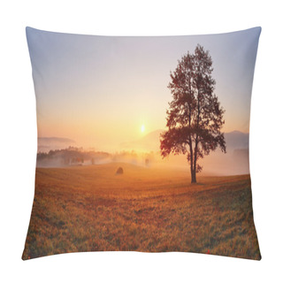 Personality  Alone Tree On Meadow At Sunset With Sun And Mist - Panorama Pillow Covers