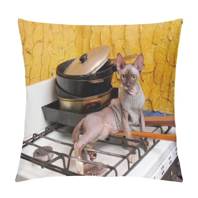 Personality  Sphinx Canadensis Pillow Covers