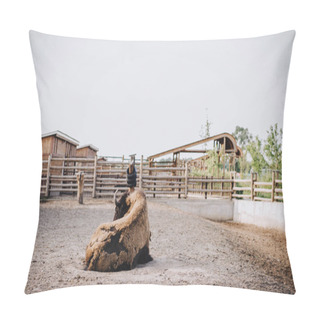 Personality  Front View Of Bison Laying On Ground In Corral At Zoo  Pillow Covers