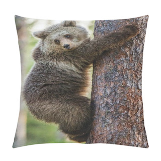 Personality  Cub Of Brown Bear Climb On Tree Pillow Covers