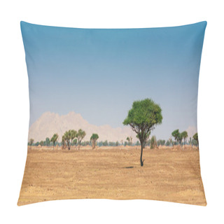 Personality   Arabian Desert Pillow Covers
