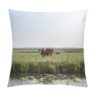 Personality  Cow On The Other Side Of The River, Stands On The Shore, Looking Pillow Covers