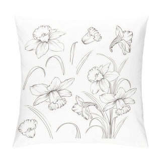Personality  Set Of Line Drawing Narcissus, Vector Illustration Pillow Covers