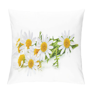 Personality  Fresh Chamomile Herb Isolated On White Background Pillow Covers