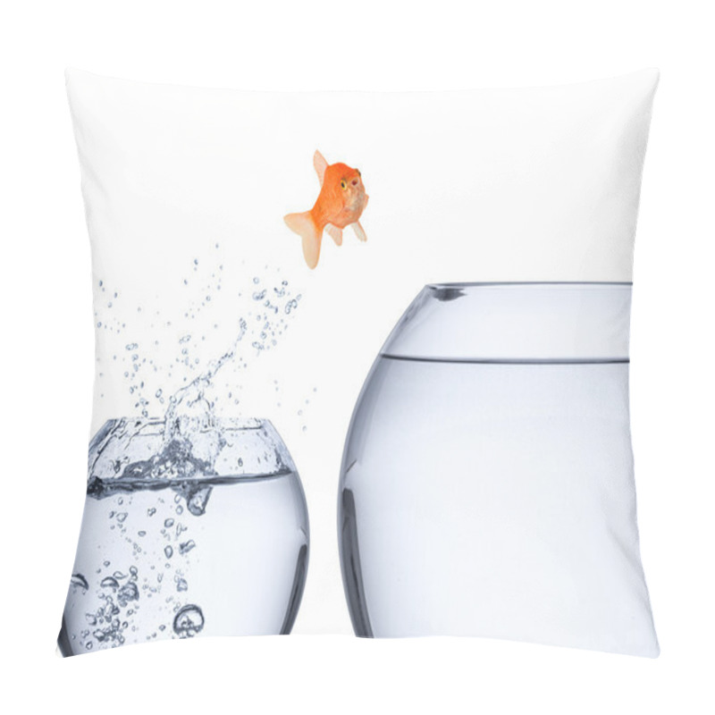 Personality  fish rise concept pillow covers