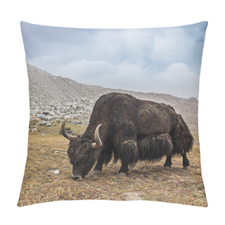 Personality  Yak Grazing In Himalayas Pillow Covers
