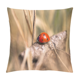 Personality  Seven Spotted Ladybug In The Grass Pillow Covers