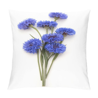 Personality  Blue Cornflowers Herb Pillow Covers