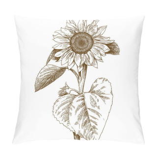 Personality  Engraving Illustration Of Sunflower Pillow Covers