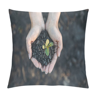 Personality  Hands Holding Young Plant With Soil  Pillow Covers