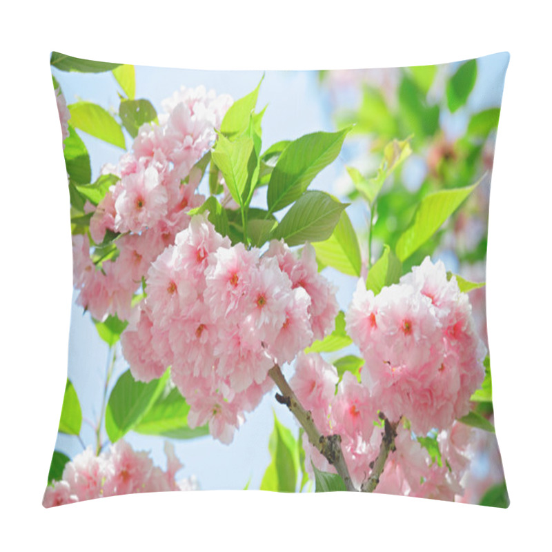 Personality  Pink abloom japanese cherry (sakura) blossom in sunny spring day pillow covers