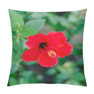 Personality  Closeup Red Hibiscus Flower Pillow Covers