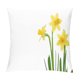 Personality  Daffodils Pillow Covers