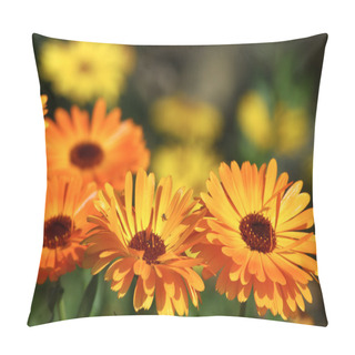 Personality  Marigold Flowers Pillow Covers