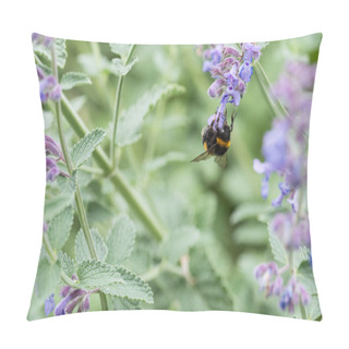 Personality  A White Tailed Bumble Bee On A Catmint Flower Pillow Covers