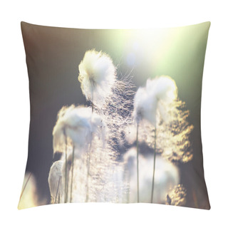 Personality  Blooming Cotton Flowers Pillow Covers