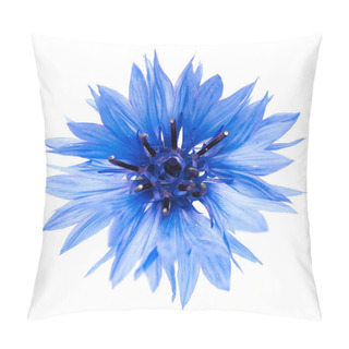 Personality  Blue Cornflower Cut Out, Isolated On A White Background, Photographed In Natural Light, Selective Depth Of Fiel Pillow Covers