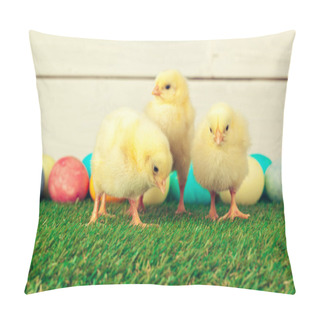 Personality  Easter Eggs And Chickens On Green Grass Pillow Covers