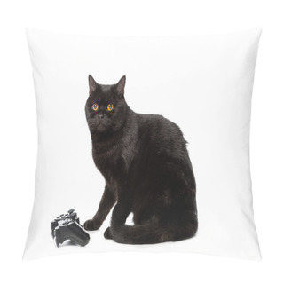 Personality  Studio Shot Of Black British Shorthaircat Near Joystick For Video Game Isolated On White Background  Pillow Covers