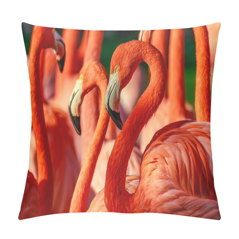 Personality  Flamboyance of Flamingos pillow covers