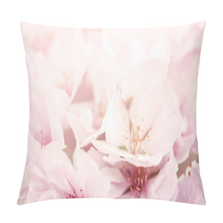 Personality  Pastel Flower Background. Floral Art Concept. Pillow Covers