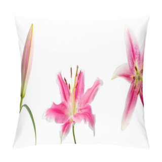 Personality  Macro Photography Of A Bud And A Blooming Flower And A Top View Of A Pink Lily On A White Background. Different Flower Condition. Soft Lighting. A Kind Of Lily Is Pink Brilliant. Pillow Covers